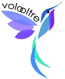Volo Oltre Onlus